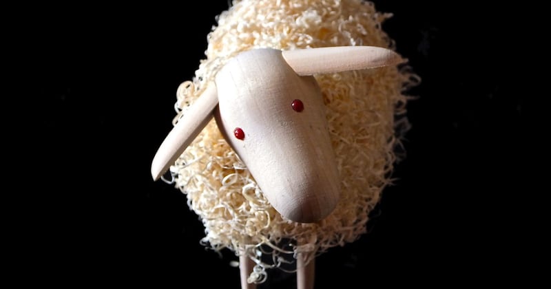 L'essor des vestes en mouton recyclé : le nouveau chic éthique qui séduit